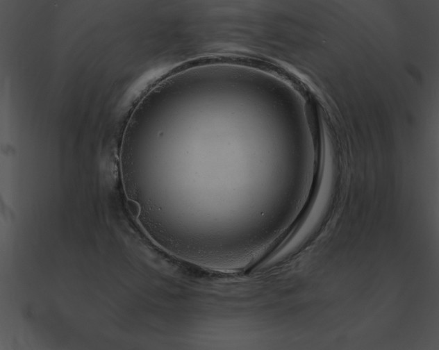 X0000090961363200708021407