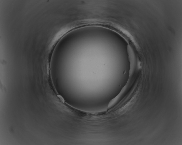 X0000090961365200708021407
