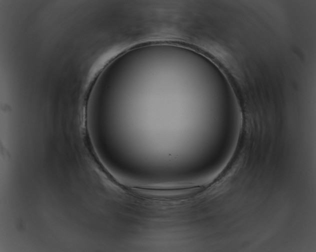 X0000090961366200708021407