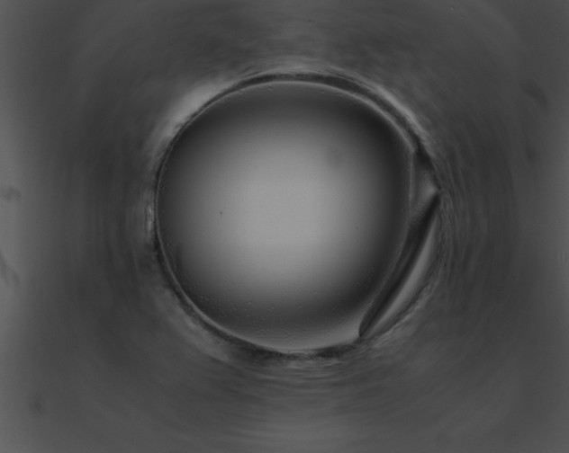 X0000090961367200708021406
