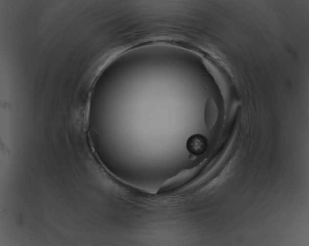 X0000090961369200708021406