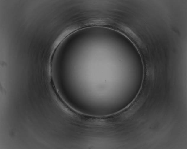 X0000090961370200708021406