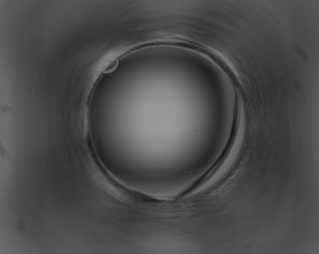X0000090961371200708021406