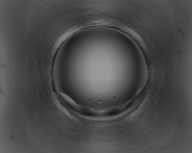 X0000090961373200708021406