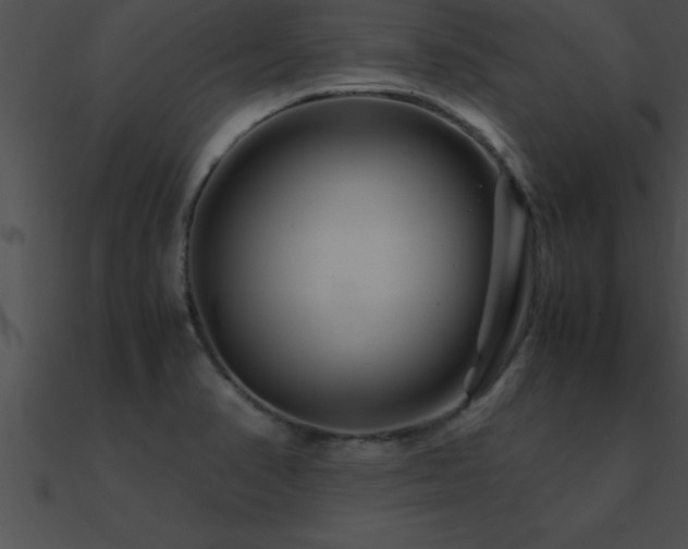 X0000090961374200708021406