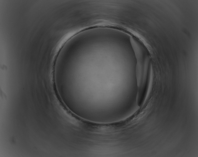 X0000090961375200708021406