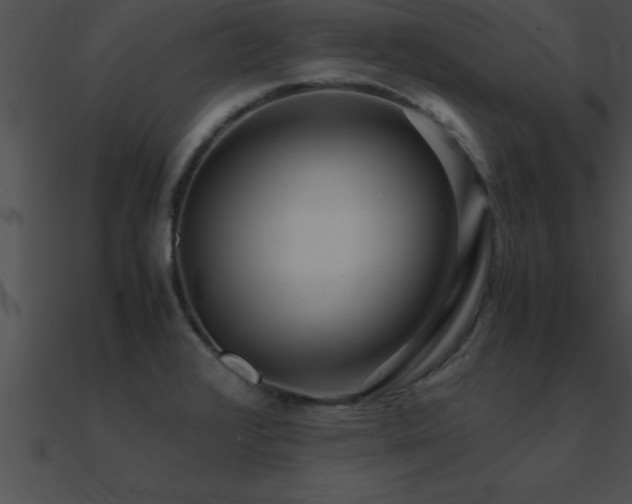 X0000090961376200708021406
