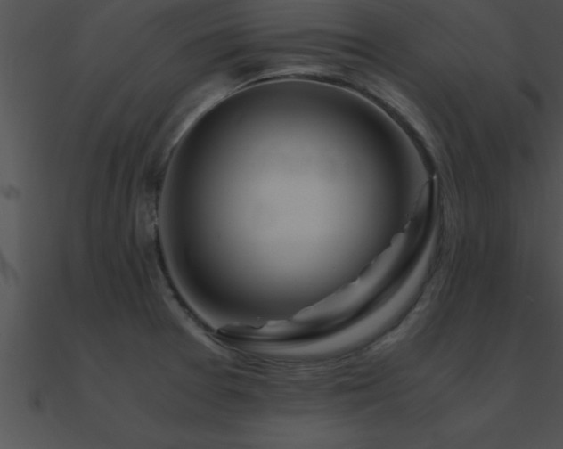 X0000090961377200708021406