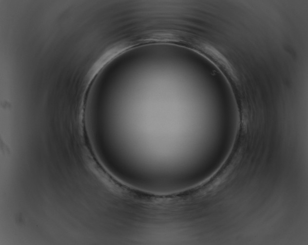 X0000090961378200708021406