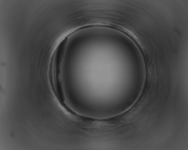 X0000090961379200708021406