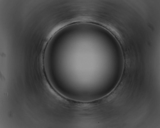 X0000090961382200708021406
