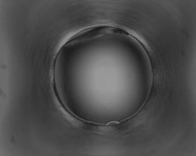 X0000090961383200708021406