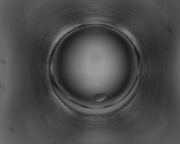 X0000090961384200708021406