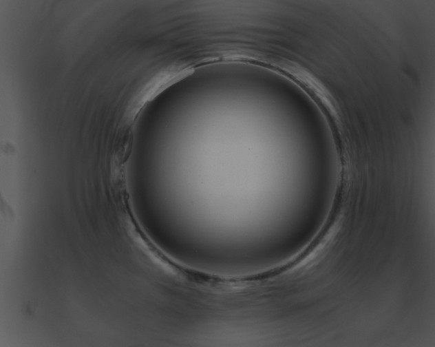 X0000090961385200708021406
