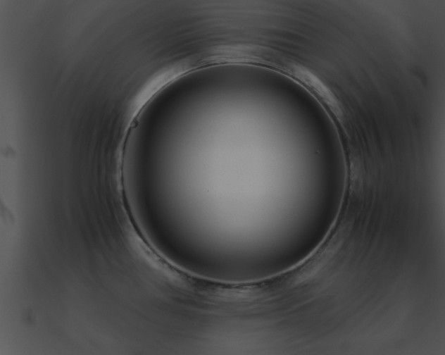 X0000090961386200708021406