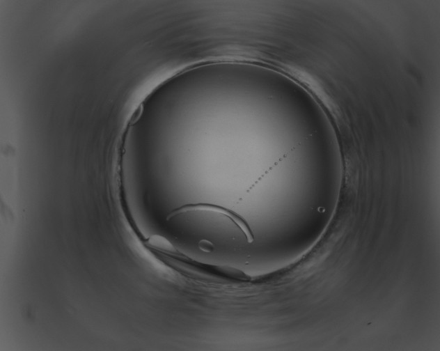 X0000090961387200708021406