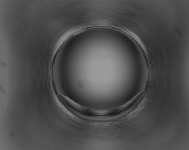 X0000090961389200708021406