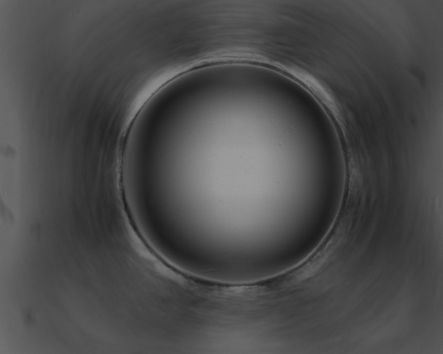 X0000090961390200708021406