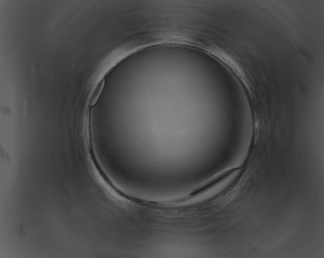 X0000090961391200708021406