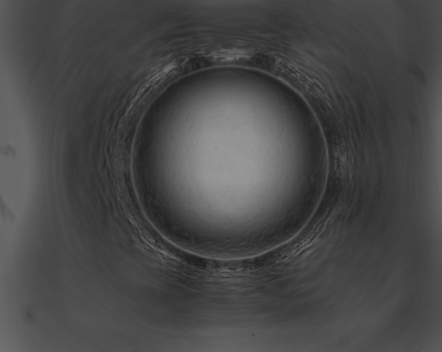 X0000090961393200708021405