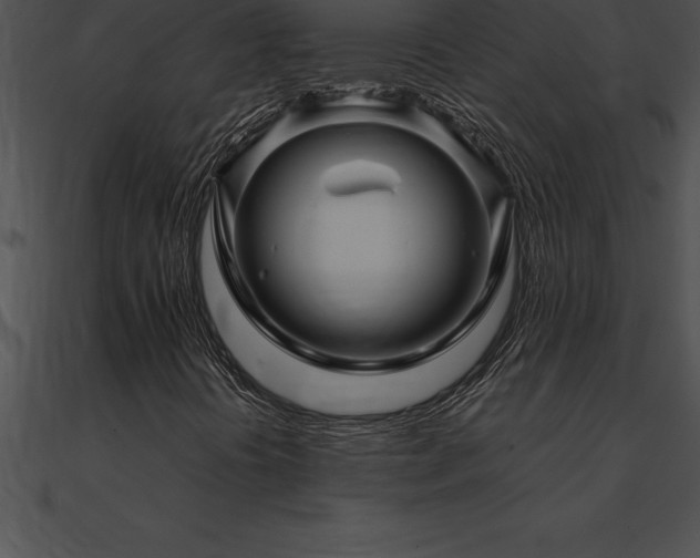 X0000090961394200708021405
