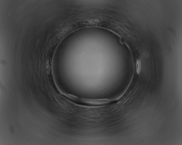 X0000090961395200708021405