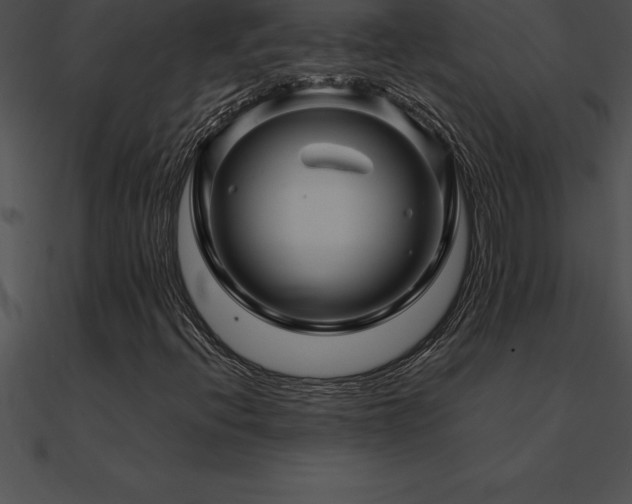 X0000090961396200708021405