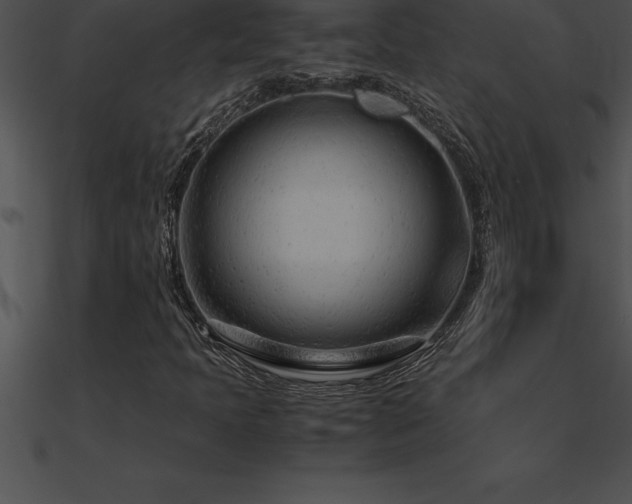 X0000090961397200708021405