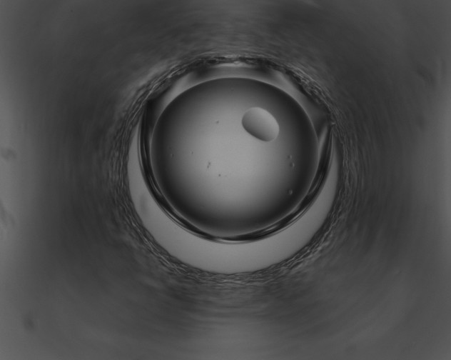 X0000090961398200708021405