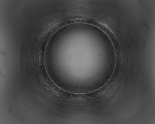 X0000090961399200708021405