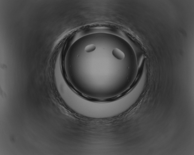 X0000090961400200708021405