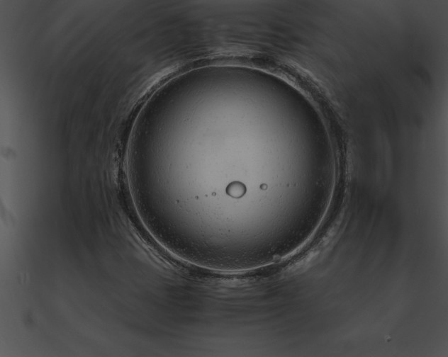 X0000090961401200708021405