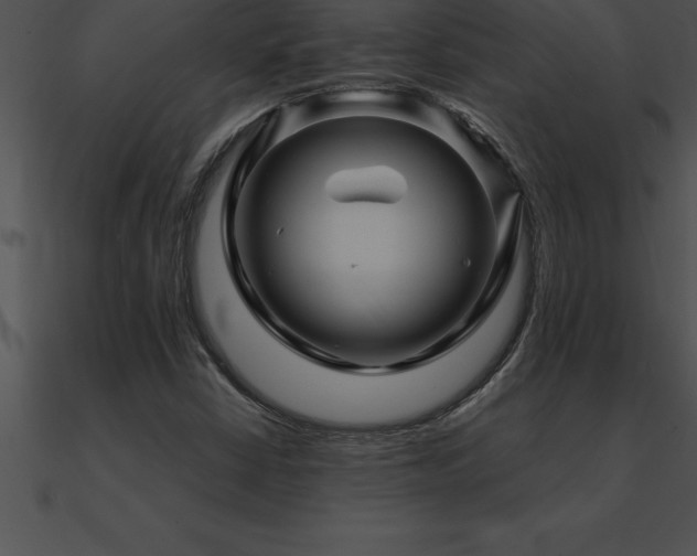 X0000090961402200708021405