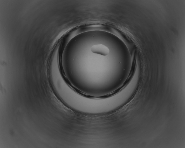 X0000090961404200708021406