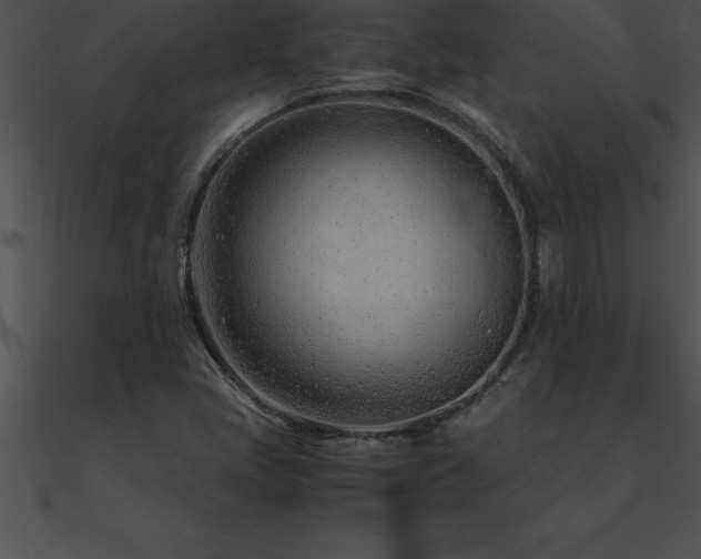 X0000090961405200708021406