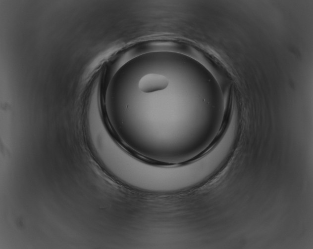 X0000090961406200708021406