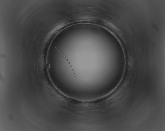 X0000090961411200708021406