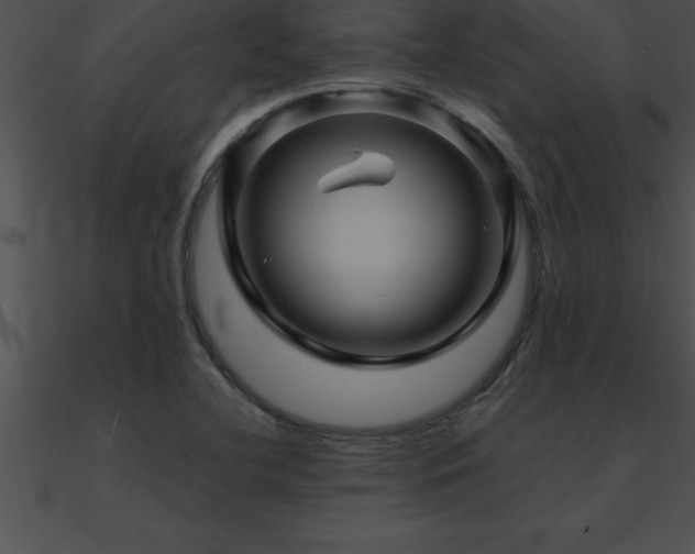 X0000090961412200708021406