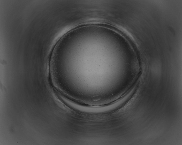 X0000090961413200708021406