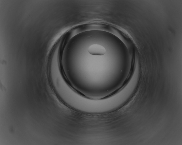 X0000090961414200708021406