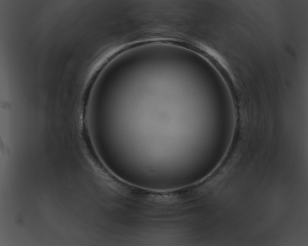 X0000090961415200708021406