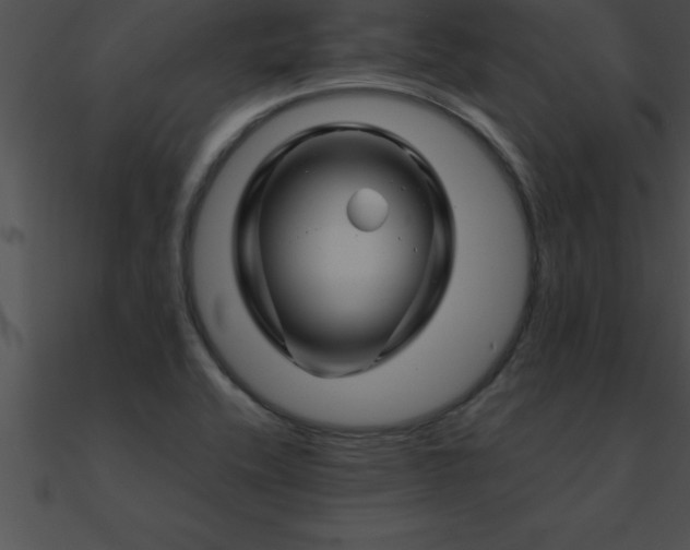 X0000090961416200708021406