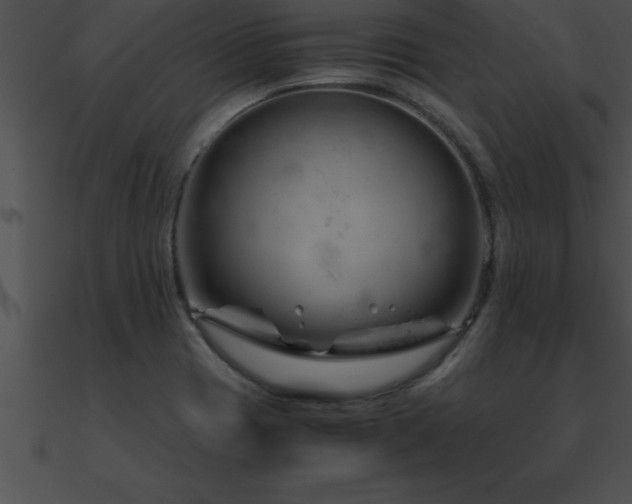 X0000090961417200708021406