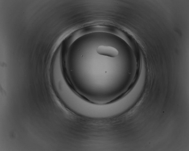 X0000090961418200708021406