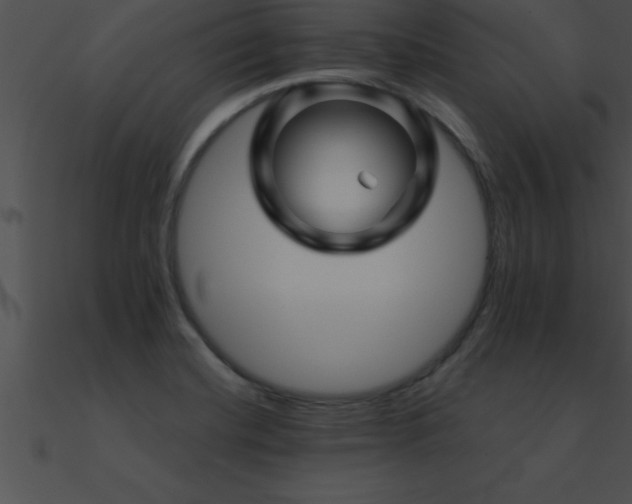 X0000090961420200708021406