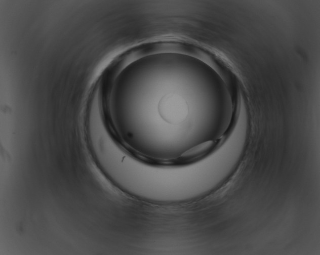 X0000090961422200708021406