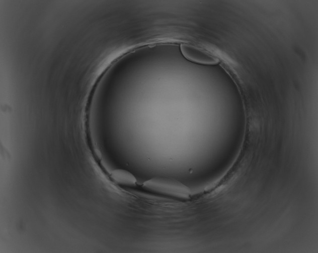 X0000090961423200708021406