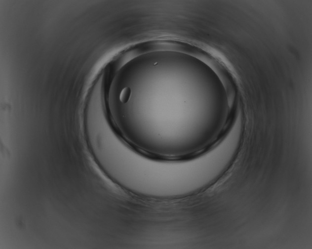 X0000090961424200708021406