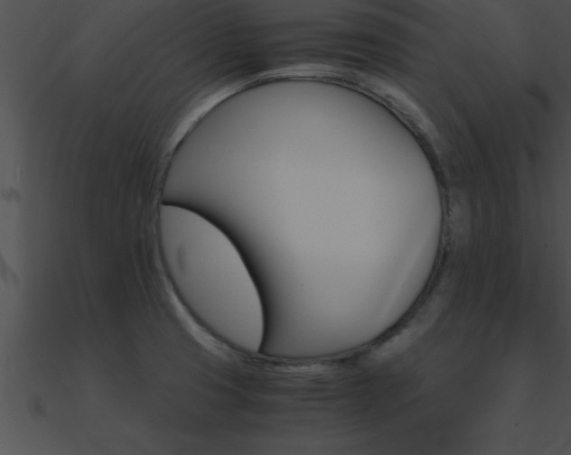X0000090961425200708021406