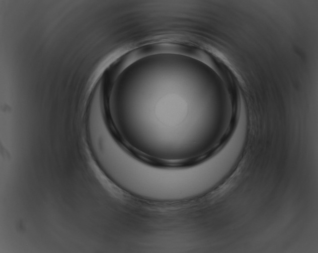 X0000090961426200708021406